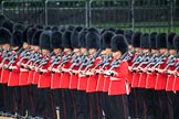 during The Colonel's Review {iptcyear4} (final rehearsal for Trooping the Colour, The Queen's Birthday Parade)  at Horse Guards Parade, Westminster, London, 2 June 2018, 10:36.