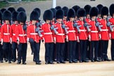 during The Colonel's Review {iptcyear4} (final rehearsal for Trooping the Colour, The Queen's Birthday Parade)  at Horse Guards Parade, Westminster, London, 2 June 2018, 10:37.