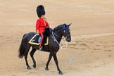 during The Colonel's Review {iptcyear4} (final rehearsal for Trooping the Colour, The Queen's Birthday Parade)  at Horse Guards Parade, Westminster, London, 2 June 2018, 11:05.