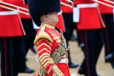 during The Colonel's Review {iptcyear4} (final rehearsal for Trooping the Colour, The Queen's Birthday Parade)  at Horse Guards Parade, Westminster, London, 2 June 2018, 11:08.