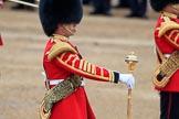 during The Colonel's Review {iptcyear4} (final rehearsal for Trooping the Colour, The Queen's Birthday Parade)  at Horse Guards Parade, Westminster, London, 2 June 2018, 11:08.