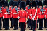 during The Colonel's Review {iptcyear4} (final rehearsal for Trooping the Colour, The Queen's Birthday Parade)  at Horse Guards Parade, Westminster, London, 2 June 2018, 11:16.