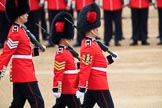 during The Colonel's Review {iptcyear4} (final rehearsal for Trooping the Colour, The Queen's Birthday Parade)  at Horse Guards Parade, Westminster, London, 2 June 2018, 11:17.