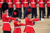 during The Colonel's Review {iptcyear4} (final rehearsal for Trooping the Colour, The Queen's Birthday Parade)  at Horse Guards Parade, Westminster, London, 2 June 2018, 11:17.