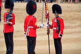 during The Colonel's Review {iptcyear4} (final rehearsal for Trooping the Colour, The Queen's Birthday Parade)  at Horse Guards Parade, Westminster, London, 2 June 2018, 11:20.