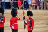 during The Colonel's Review {iptcyear4} (final rehearsal for Trooping the Colour, The Queen's Birthday Parade)  at Horse Guards Parade, Westminster, London, 2 June 2018, 11:20.