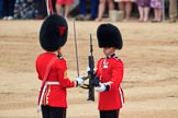 during The Colonel's Review {iptcyear4} (final rehearsal for Trooping the Colour, The Queen's Birthday Parade)  at Horse Guards Parade, Westminster, London, 2 June 2018, 11:20.