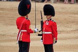 during The Colonel's Review {iptcyear4} (final rehearsal for Trooping the Colour, The Queen's Birthday Parade)  at Horse Guards Parade, Westminster, London, 2 June 2018, 11:20.