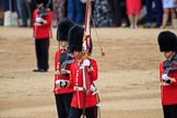 during The Colonel's Review {iptcyear4} (final rehearsal for Trooping the Colour, The Queen's Birthday Parade)  at Horse Guards Parade, Westminster, London, 2 June 2018, 11:20.