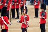during The Colonel's Review {iptcyear4} (final rehearsal for Trooping the Colour, The Queen's Birthday Parade)  at Horse Guards Parade, Westminster, London, 2 June 2018, 11:20.
