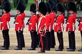 during The Colonel's Review {iptcyear4} (final rehearsal for Trooping the Colour, The Queen's Birthday Parade)  at Horse Guards Parade, Westminster, London, 2 June 2018, 11:28.
