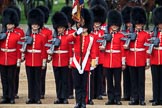 during The Colonel's Review {iptcyear4} (final rehearsal for Trooping the Colour, The Queen's Birthday Parade)  at Horse Guards Parade, Westminster, London, 2 June 2018, 11:29.