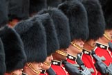 during The Colonel's Review {iptcyear4} (final rehearsal for Trooping the Colour, The Queen's Birthday Parade)  at Horse Guards Parade, Westminster, London, 2 June 2018, 11:48.