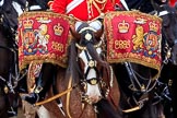 during The Colonel's Review {iptcyear4} (final rehearsal for Trooping the Colour, The Queen's Birthday Parade)  at Horse Guards Parade, Westminster, London, 2 June 2018, 11:55.