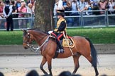 during The Colonel's Review {iptcyear4} (final rehearsal for Trooping the Colour, The Queen's Birthday Parade)  at Horse Guards Parade, Westminster, London, 2 June 2018, 11:55.