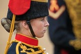 during The Colonel's Review {iptcyear4} (final rehearsal for Trooping the Colour, The Queen's Birthday Parade)  at Horse Guards Parade, Westminster, London, 2 June 2018, 11:57.