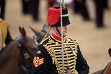 during The Colonel's Review {iptcyear4} (final rehearsal for Trooping the Colour, The Queen's Birthday Parade)  at Horse Guards Parade, Westminster, London, 2 June 2018, 12:02.