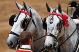 during The Colonel's Review {iptcyear4} (final rehearsal for Trooping the Colour, The Queen's Birthday Parade)  at Horse Guards Parade, Westminster, London, 2 June 2018, 12:13.