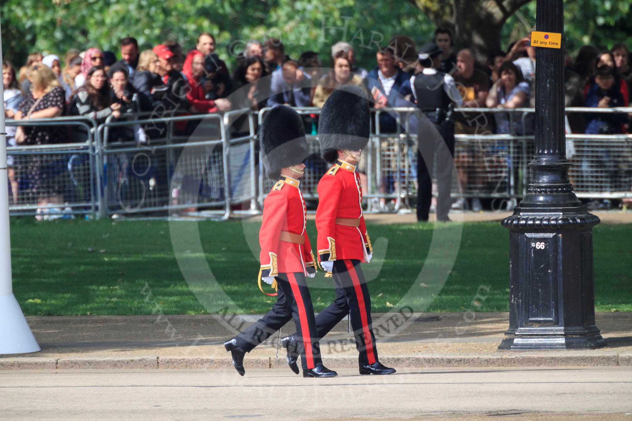 The Ensign, 2nd Lieutenant Felix Tracey, and The Captain of the Guard, Major Hamish Hardy, Number Five Guard, Nijmegen Company, Grenadier Guards, marching to Horse Guards Parade before Trooping the Colour 2018, The Queen's Birthday Parade at Horse Guards Parade, Westminster, London, 9 June 2018, 09:48.