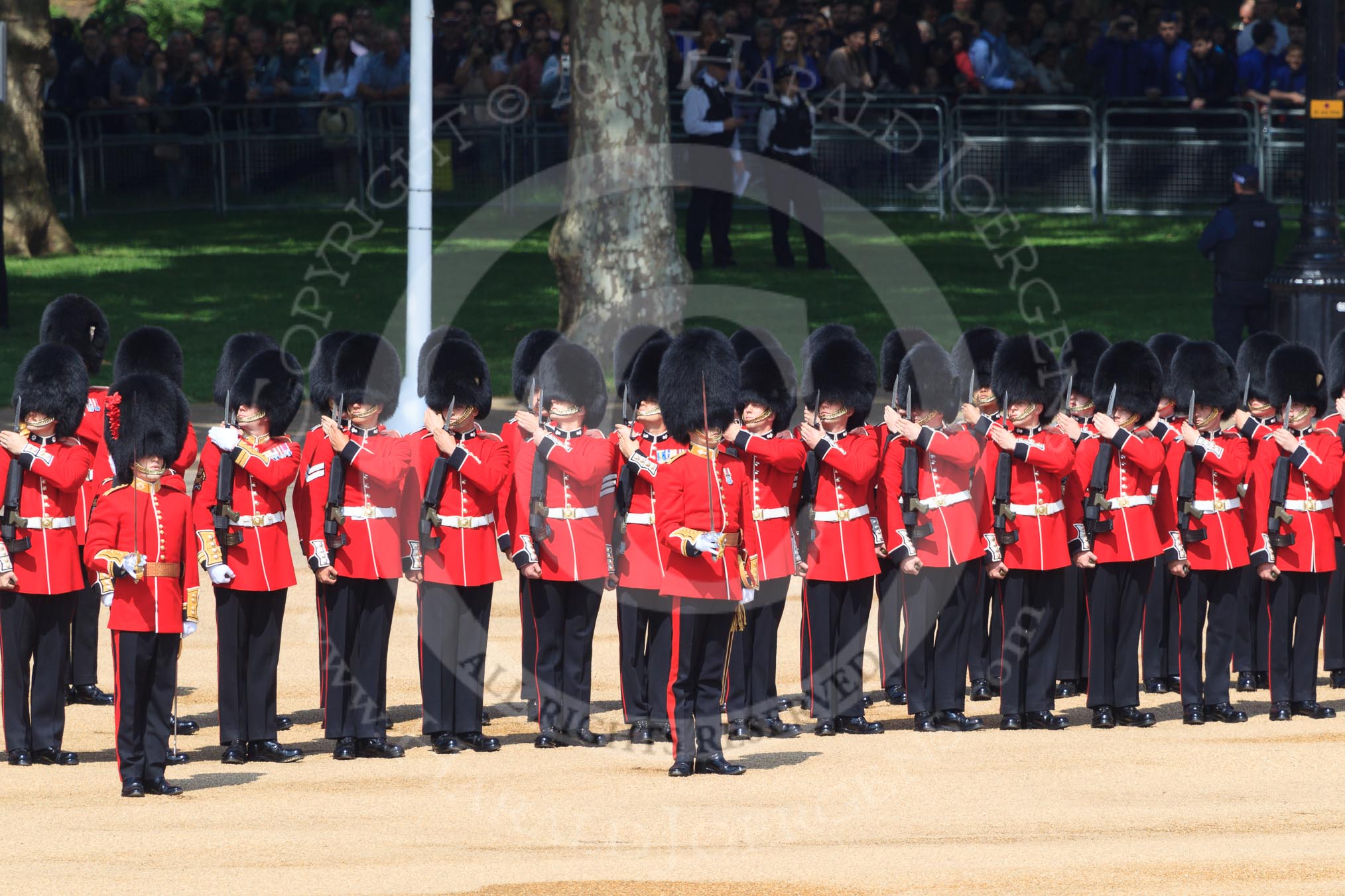 during Trooping the Colour {iptcyear4}, The Queen's Birthday Parade at Horse Guards Parade, Westminster, London, 9 June 2018, 10:43.