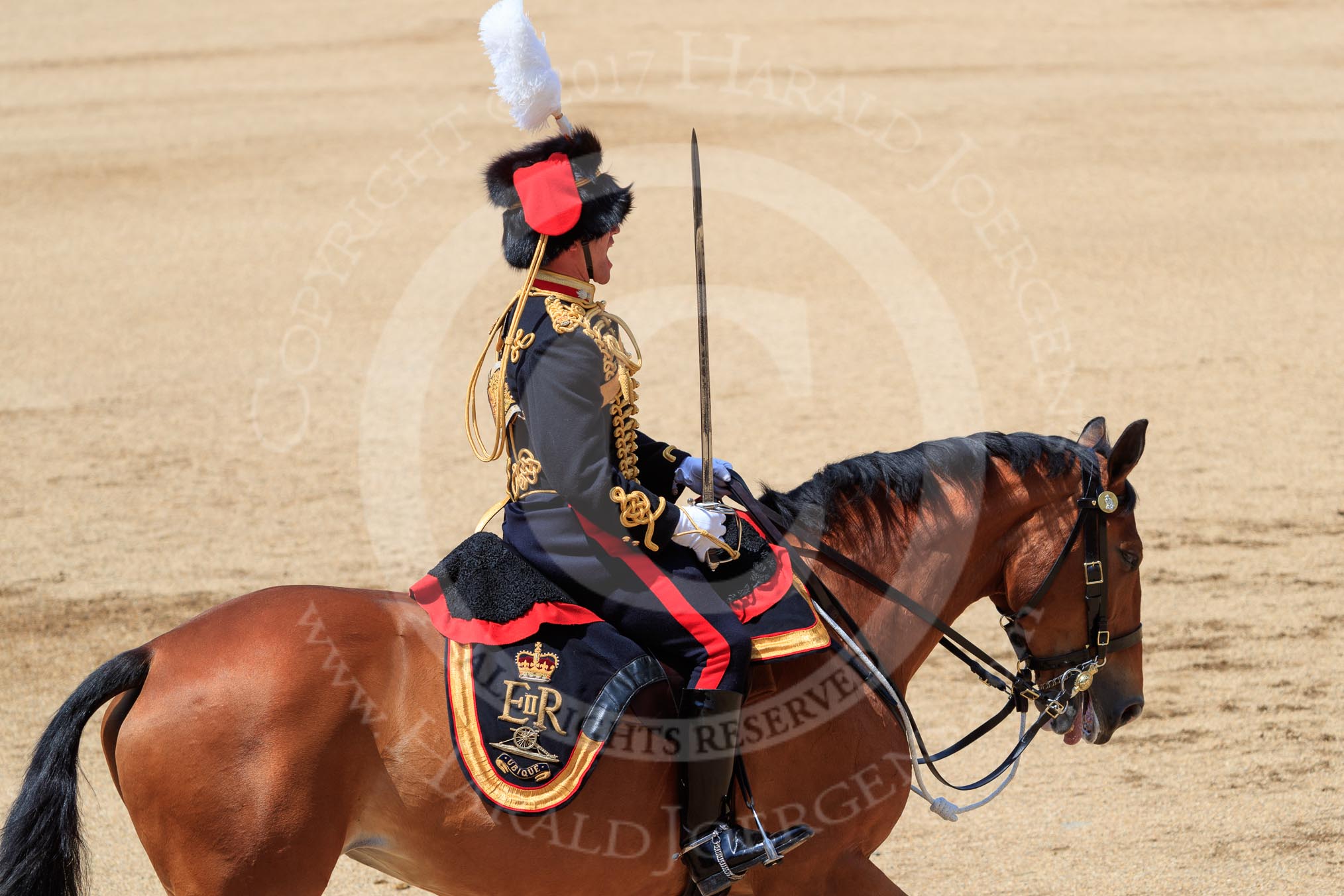 during Trooping the Colour {iptcyear4}, The Queen's Birthday Parade at Horse Guards Parade, Westminster, London, 9 June 2018, 12:01.
