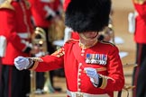 Garrison Sergeant Major (GSM) Headquarters London District, Warrant Officer Class 1 Andrew (Vern) Strokes before Trooping the Colour 2018, The Queen's Birthday Parade at Horse Guards Parade, Westminster, London, 9 June 2018, 10:23.