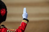 during Trooping the Colour {iptcyear4}, The Queen's Birthday Parade at Horse Guards Parade, Westminster, London, 9 June 2018, 10:28.