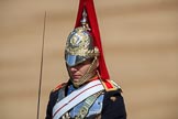 during Trooping the Colour {iptcyear4}, The Queen's Birthday Parade at Horse Guards Parade, Westminster, London, 9 June 2018, 10:56.