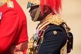 during Trooping the Colour {iptcyear4}, The Queen's Birthday Parade at Horse Guards Parade, Westminster, London, 9 June 2018, 11:00.