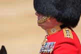 during Trooping the Colour {iptcyear4}, The Queen's Birthday Parade at Horse Guards Parade, Westminster, London, 9 June 2018, 11:00.