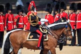 during Trooping the Colour {iptcyear4}, The Queen's Birthday Parade at Horse Guards Parade, Westminster, London, 9 June 2018, 11:02.
