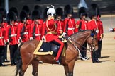 during Trooping the Colour {iptcyear4}, The Queen's Birthday Parade at Horse Guards Parade, Westminster, London, 9 June 2018, 11:02.