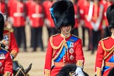during Trooping the Colour {iptcyear4}, The Queen's Birthday Parade at Horse Guards Parade, Westminster, London, 9 June 2018, 11:05.
