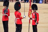 during Trooping the Colour {iptcyear4}, The Queen's Birthday Parade at Horse Guards Parade, Westminster, London, 9 June 2018, 11:20.