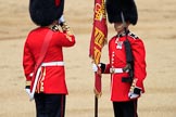 during Trooping the Colour {iptcyear4}, The Queen's Birthday Parade at Horse Guards Parade, Westminster, London, 9 June 2018, 11:20.