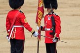 during Trooping the Colour {iptcyear4}, The Queen's Birthday Parade at Horse Guards Parade, Westminster, London, 9 June 2018, 11:20.