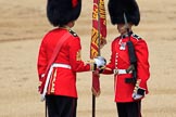 during Trooping the Colour {iptcyear4}, The Queen's Birthday Parade at Horse Guards Parade, Westminster, London, 9 June 2018, 11:20.
