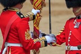 during Trooping the Colour {iptcyear4}, The Queen's Birthday Parade at Horse Guards Parade, Westminster, London, 9 June 2018, 11:20.