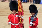 during Trooping the Colour {iptcyear4}, The Queen's Birthday Parade at Horse Guards Parade, Westminster, London, 9 June 2018, 11:20.