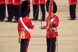 during Trooping the Colour {iptcyear4}, The Queen's Birthday Parade at Horse Guards Parade, Westminster, London, 9 June 2018, 11:20.