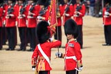 during Trooping the Colour {iptcyear4}, The Queen's Birthday Parade at Horse Guards Parade, Westminster, London, 9 June 2018, 11:21.