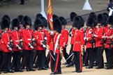 during Trooping the Colour {iptcyear4}, The Queen's Birthday Parade at Horse Guards Parade, Westminster, London, 9 June 2018, 11:26.