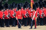 during Trooping the Colour {iptcyear4}, The Queen's Birthday Parade at Horse Guards Parade, Westminster, London, 9 June 2018, 11:26.