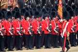 during Trooping the Colour {iptcyear4}, The Queen's Birthday Parade at Horse Guards Parade, Westminster, London, 9 June 2018, 11:27.