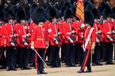 during Trooping the Colour {iptcyear4}, The Queen's Birthday Parade at Horse Guards Parade, Westminster, London, 9 June 2018, 11:27.