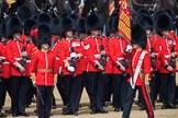 during Trooping the Colour {iptcyear4}, The Queen's Birthday Parade at Horse Guards Parade, Westminster, London, 9 June 2018, 11:27.