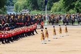 during Trooping the Colour {iptcyear4}, The Queen's Birthday Parade at Horse Guards Parade, Westminster, London, 9 June 2018, 11:33.