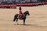 during Trooping the Colour {iptcyear4}, The Queen's Birthday Parade at Horse Guards Parade, Westminster, London, 9 June 2018, 11:36.
