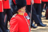 during Trooping the Colour {iptcyear4}, The Queen's Birthday Parade at Horse Guards Parade, Westminster, London, 9 June 2018, 11:37.