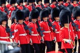 during Trooping the Colour {iptcyear4}, The Queen's Birthday Parade at Horse Guards Parade, Westminster, London, 9 June 2018, 11:39.